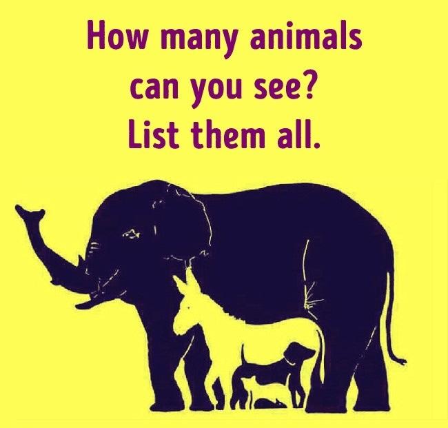 How many animals can you spot in this optical illusion? Look closely—there's more than meets the eye!