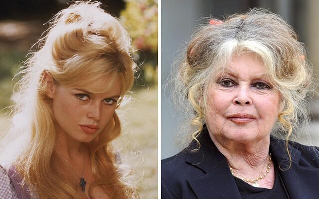 She Quit Hollywood at Her Peak—Brigitte Bardot’s Life Will Shock You